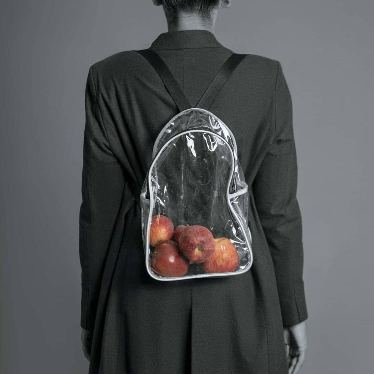 Transparent Backpack